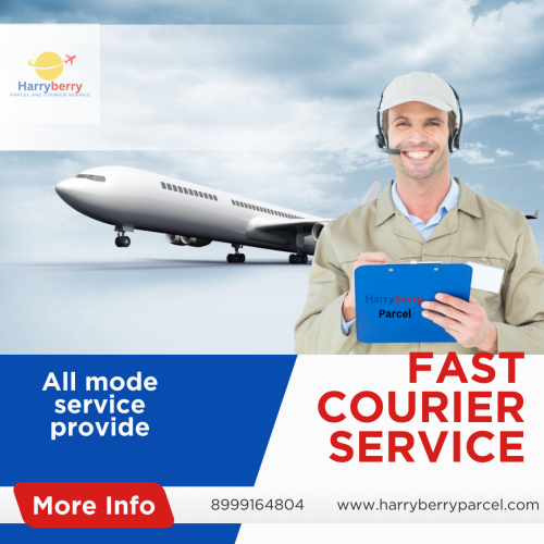 Pune to Baddi parcel and courier services